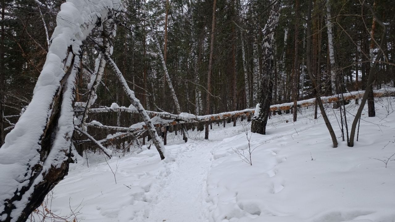 Экопарк Гремячая грива