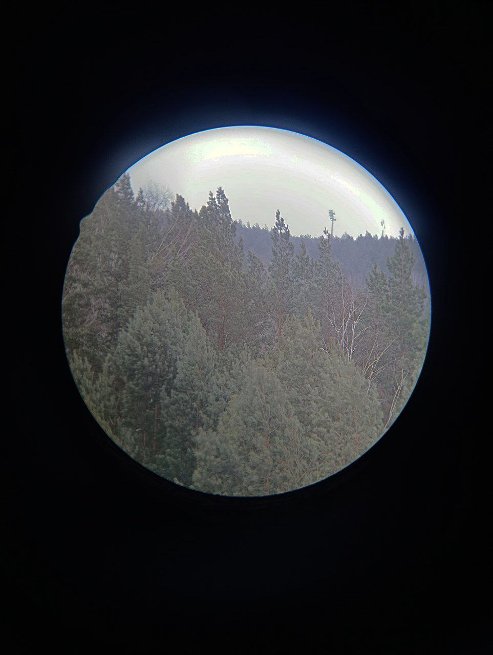 Экопарк Гремячая грива